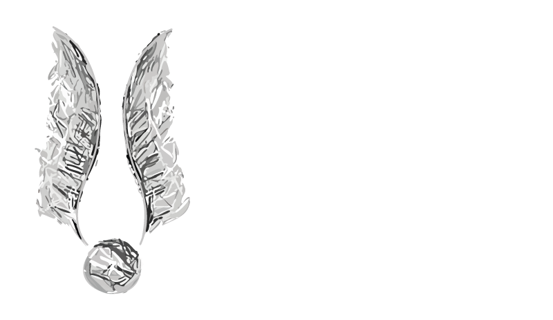 VIFARGENT-LOGO-large-sigle+nom-fonce